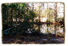Island Grove Motel and Swimming Pool (1997)