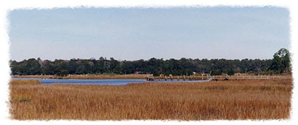 The Marshes of Glynn (1997)