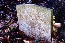 Larger view of Nathan's headstone